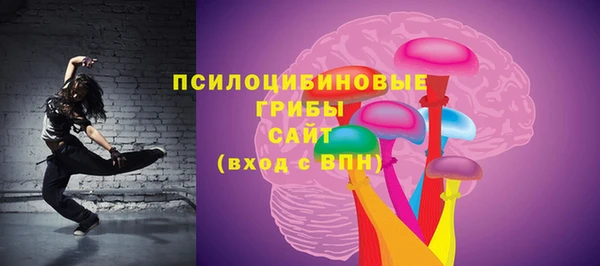 бошки Горно-Алтайск