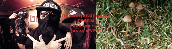 марки lsd Горнозаводск